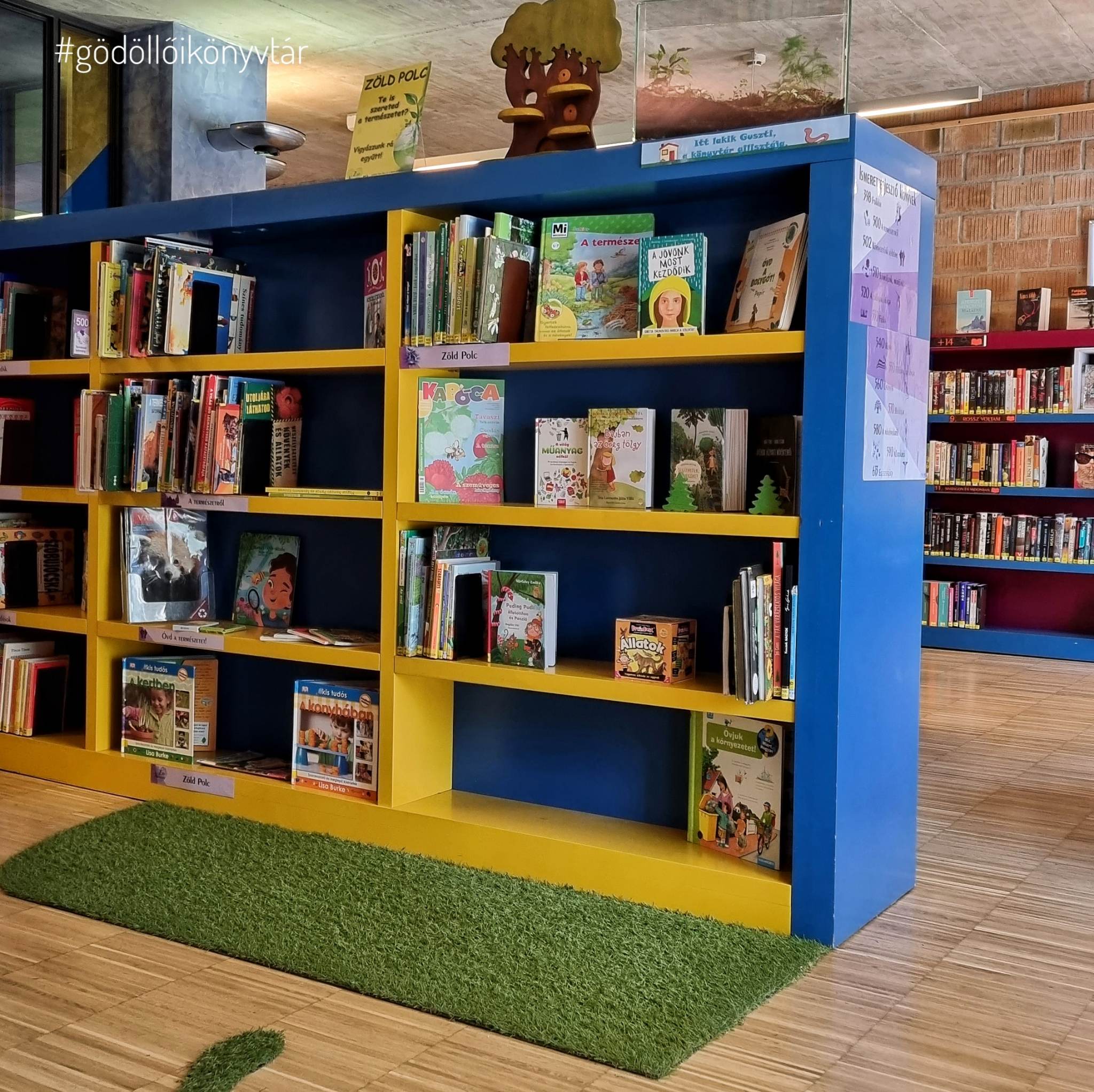 Zöld polc a gyerekkönyvtárban